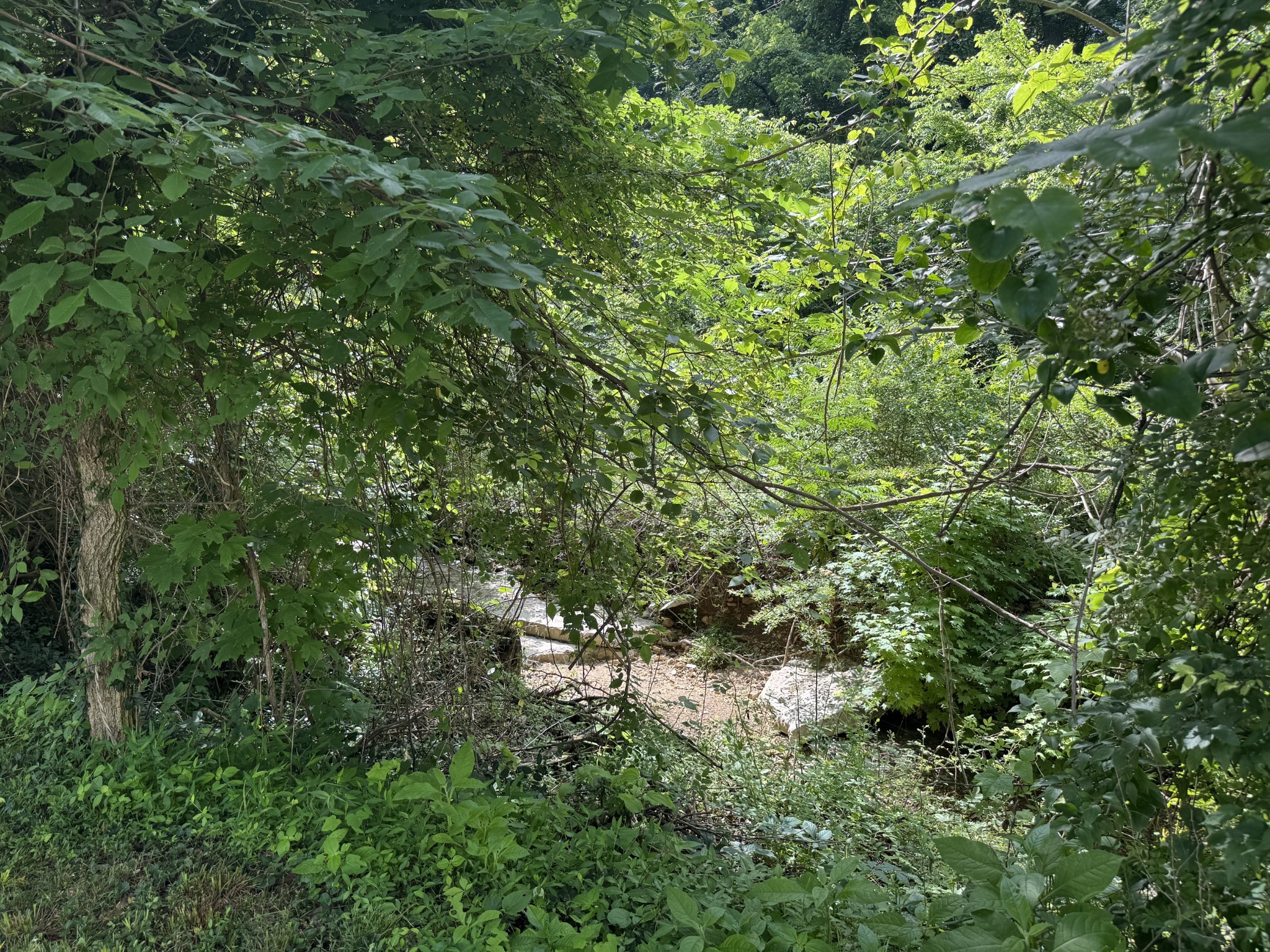 5092 Seymour Hollow Rd Property Photo 31