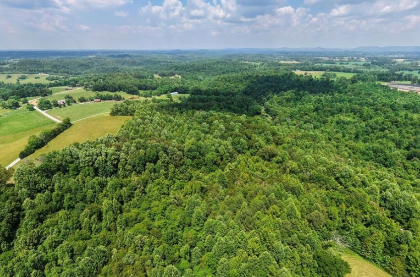 156 Joe D Coffee Rd Property Photo 3