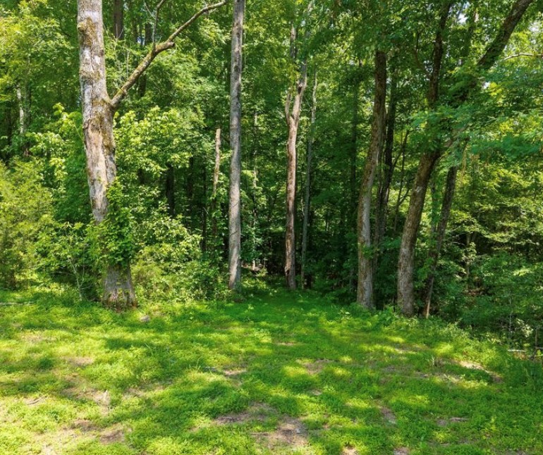 156 Joe D Coffee Rd Property Photo 15