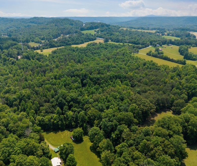 156 Joe D Coffee Rd Property Photo 22
