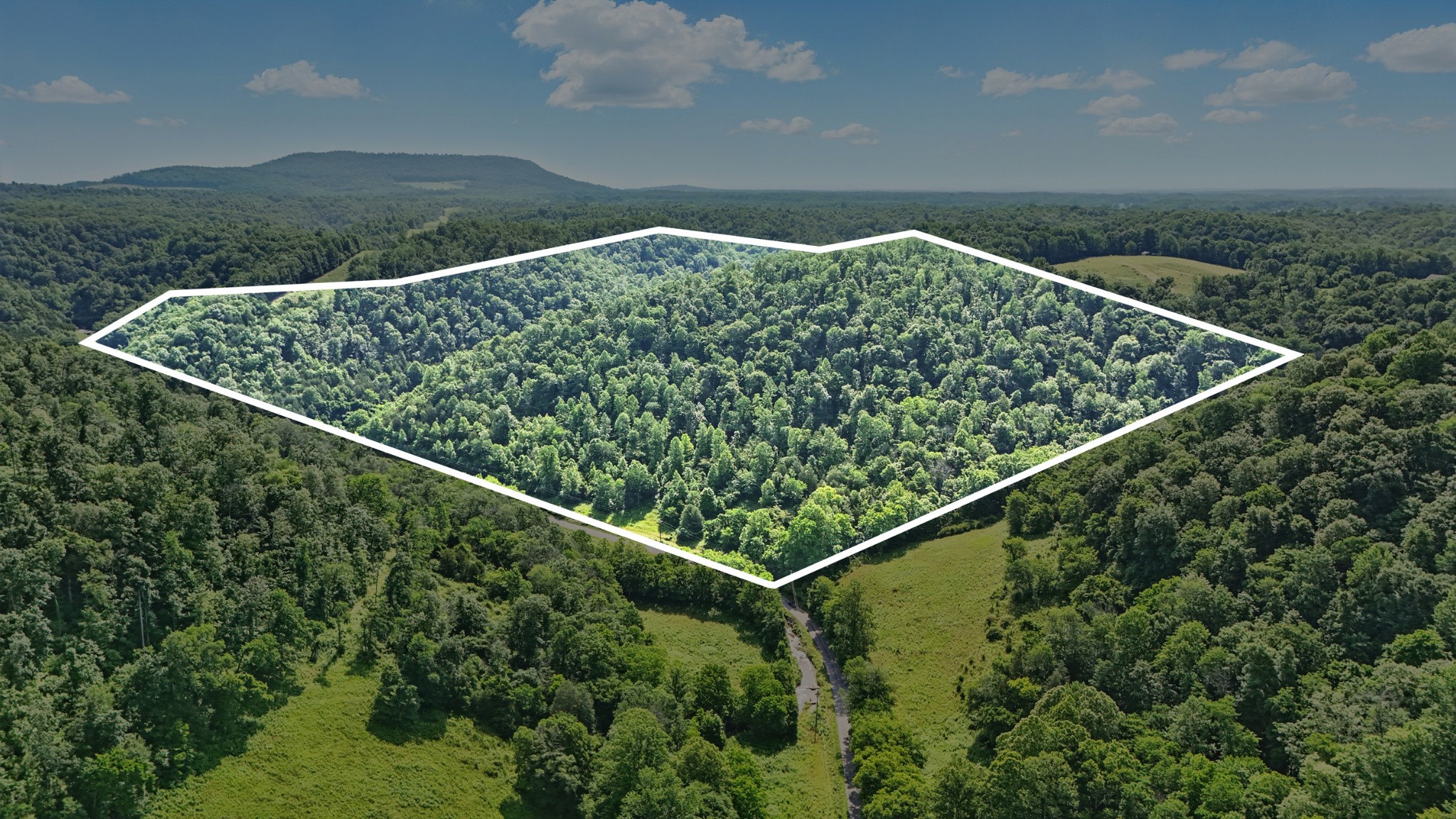 4006 Stones River Rd Property Photo 2