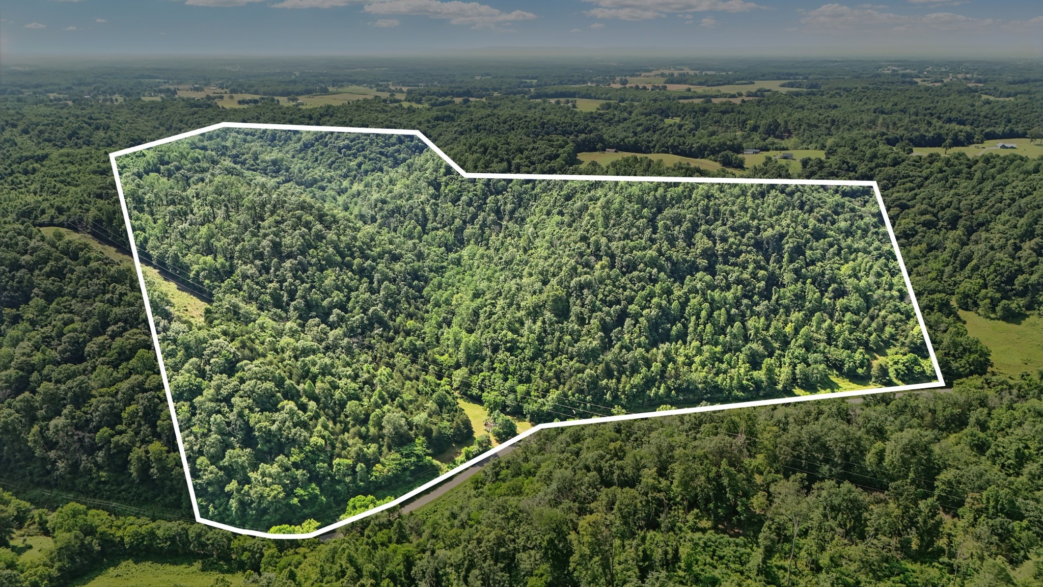 4006 Stones River Rd Property Photo 3