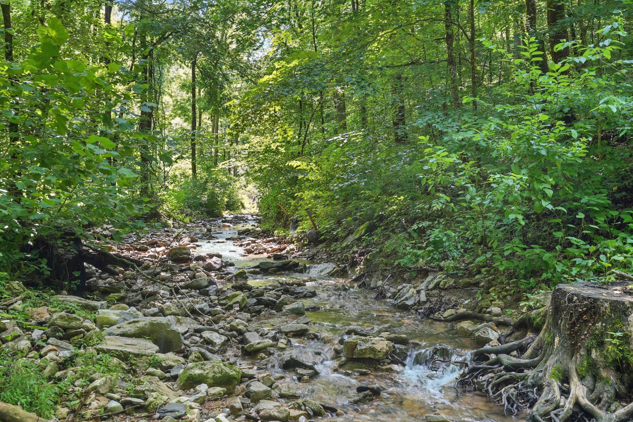 4006 Stones River Rd Property Photo 5