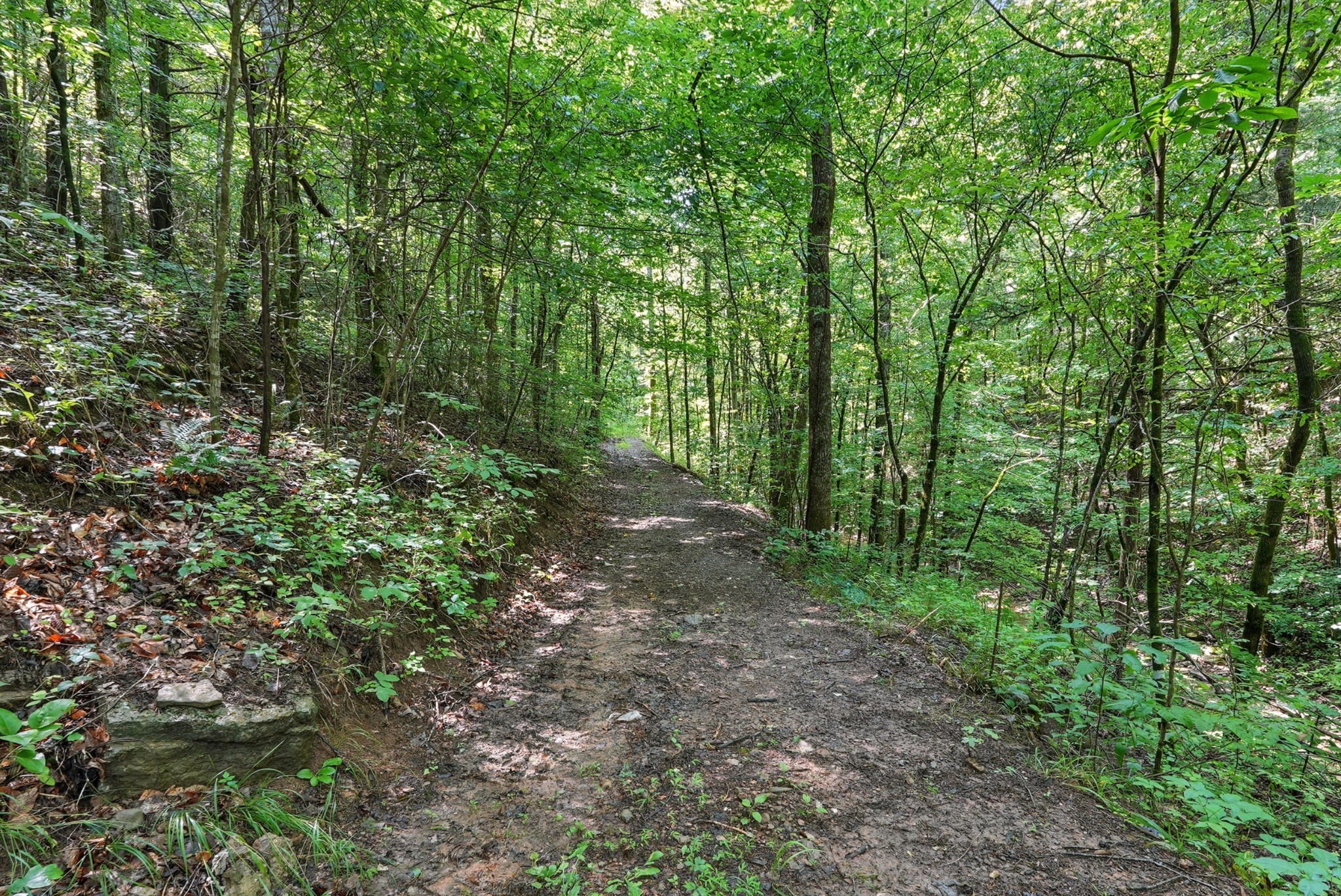 4006 Stones River Rd Property Photo 6