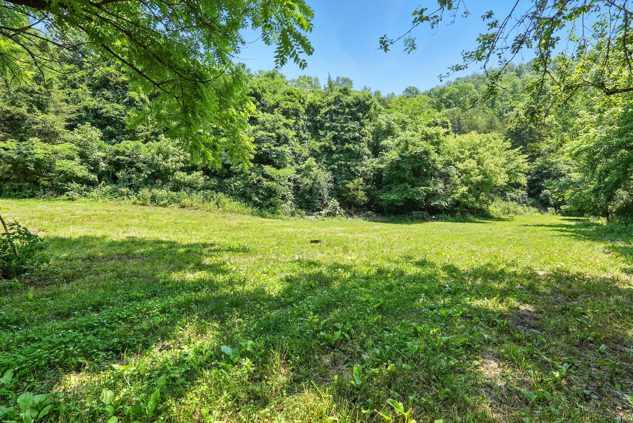4006 Stones River Rd Property Photo 8