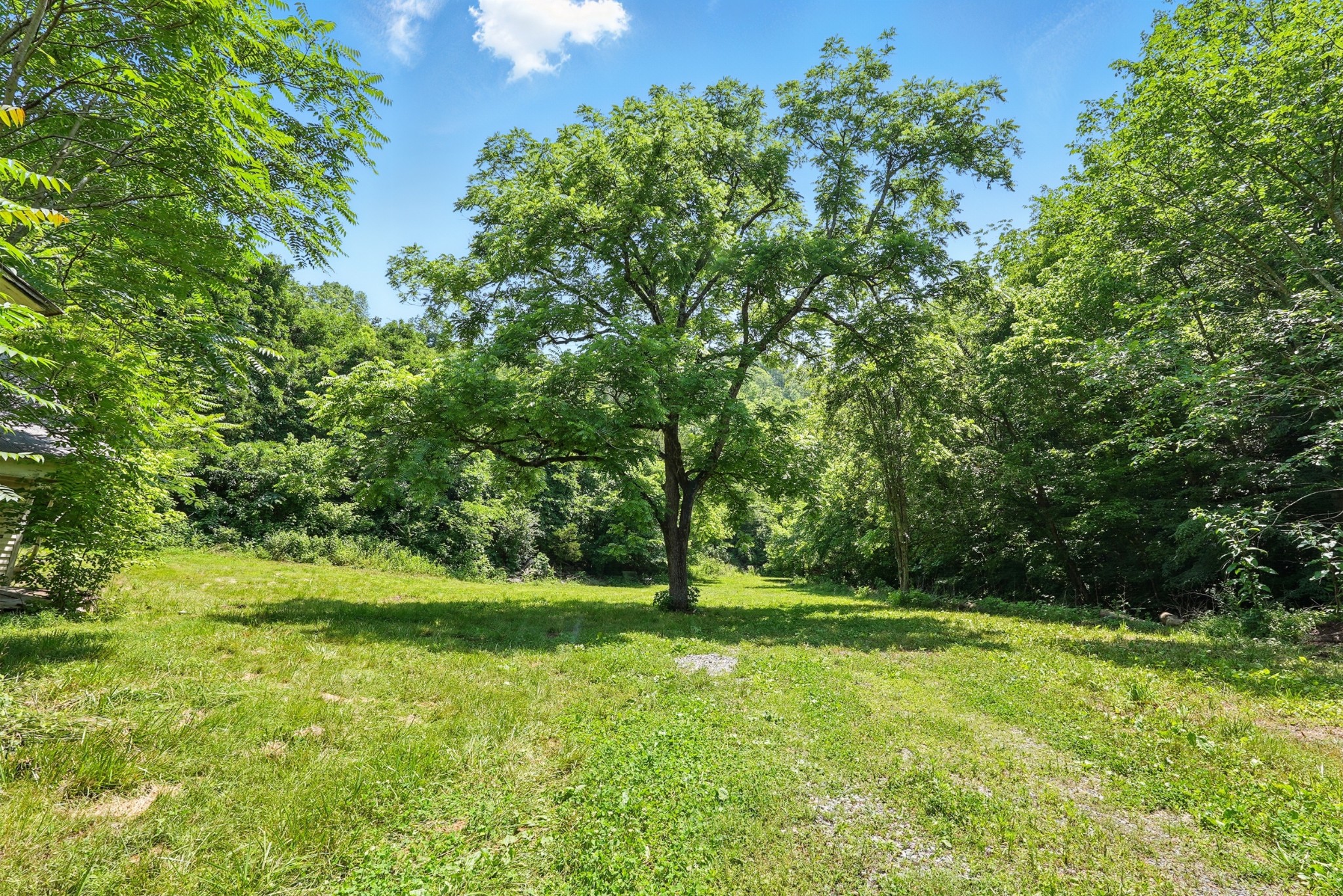 4006 Stones River Rd Property Photo 9