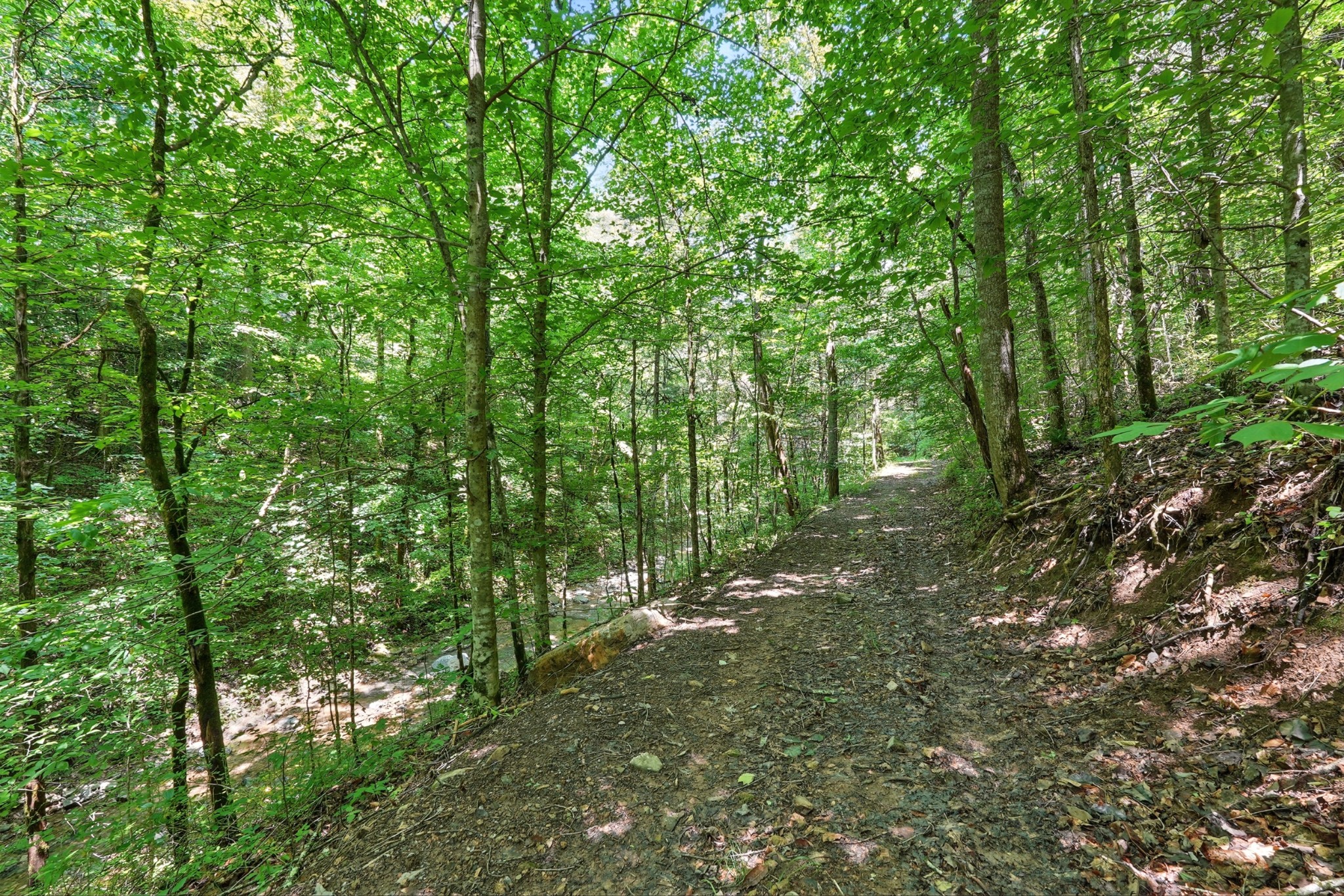 4006 Stones River Rd Property Photo 10