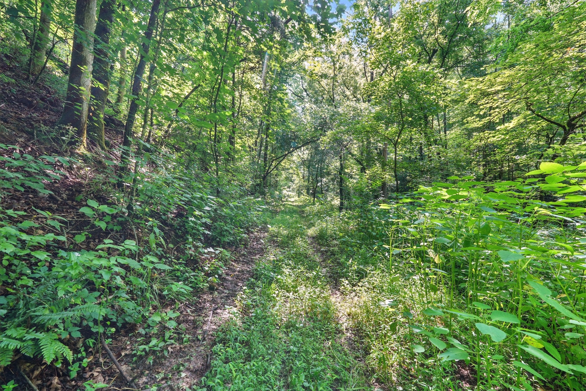4006 Stones River Rd Property Photo 27