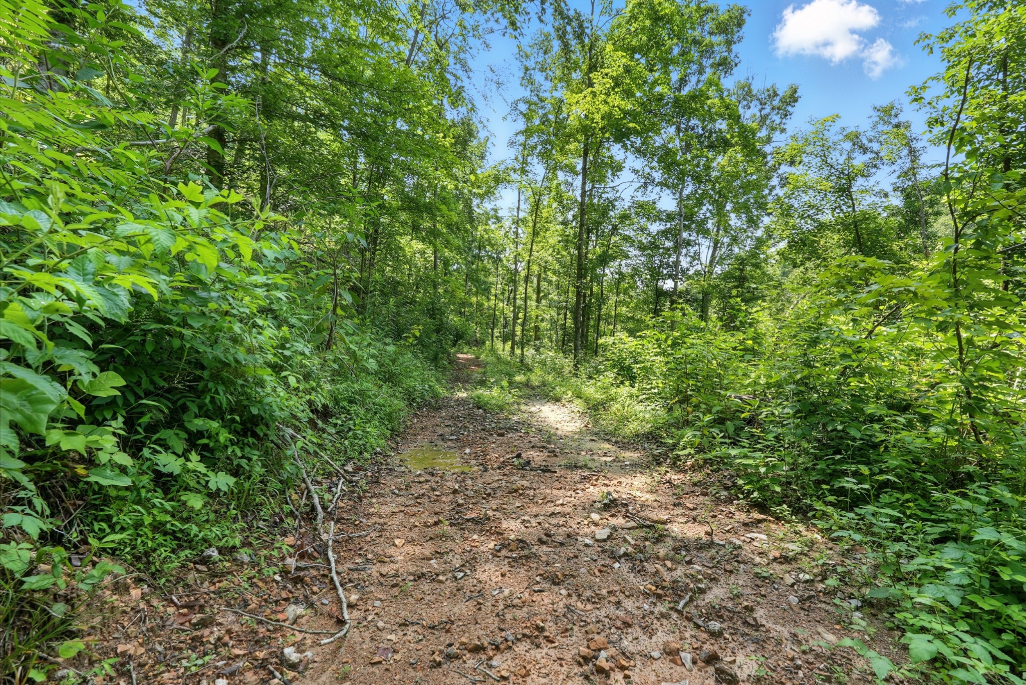 4006 Stones River Rd Property Photo 28