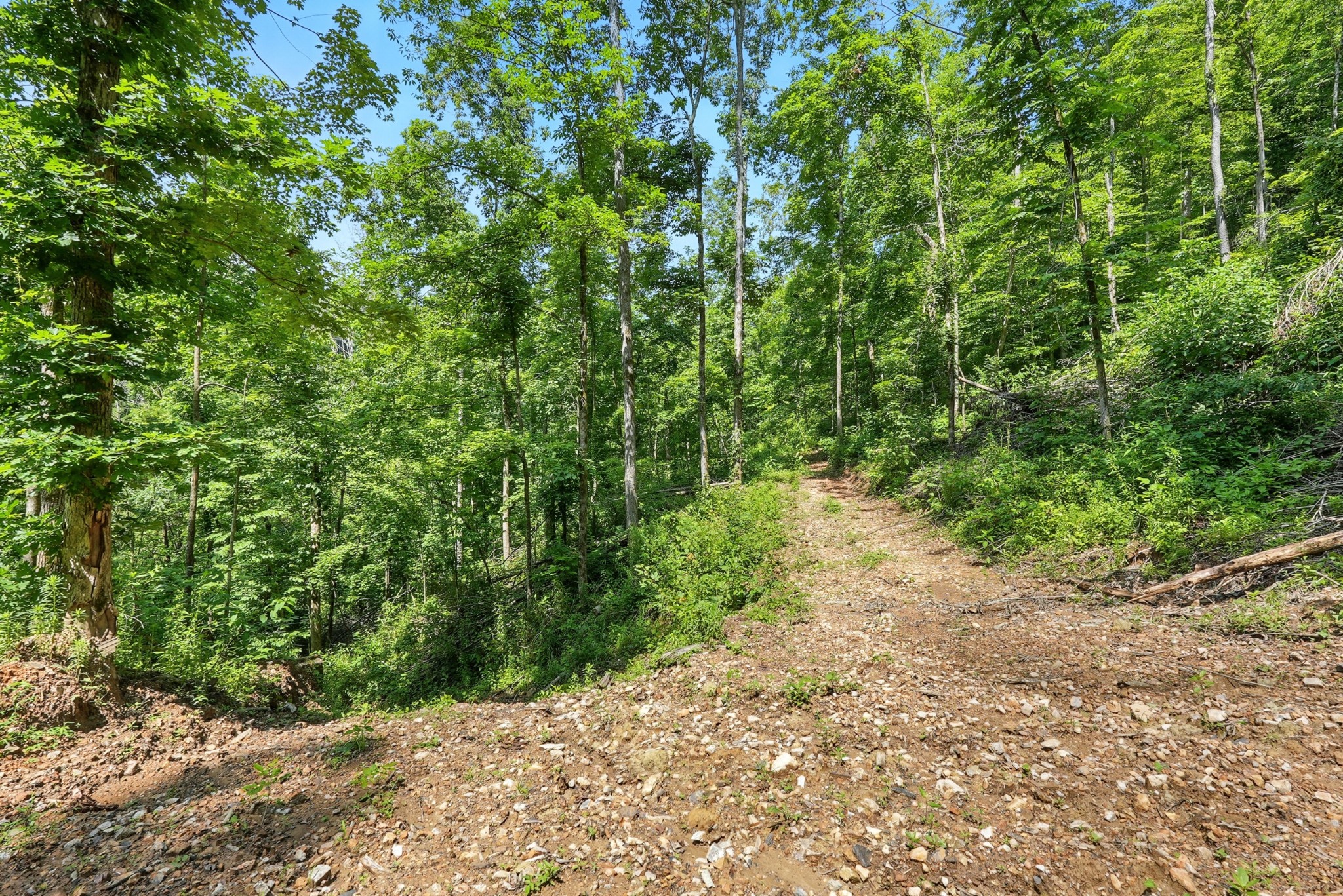 4006 Stones River Rd Property Photo 29