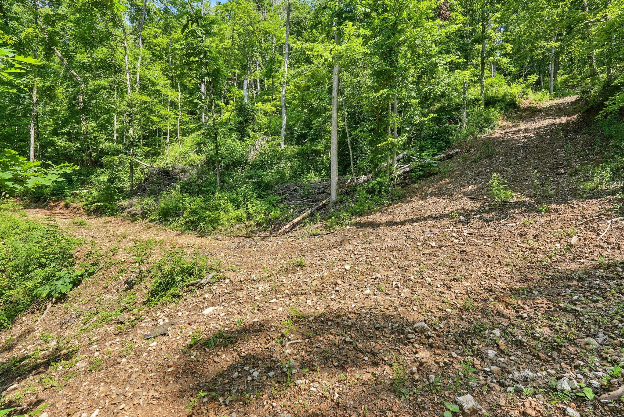 4006 Stones River Rd Property Photo 30