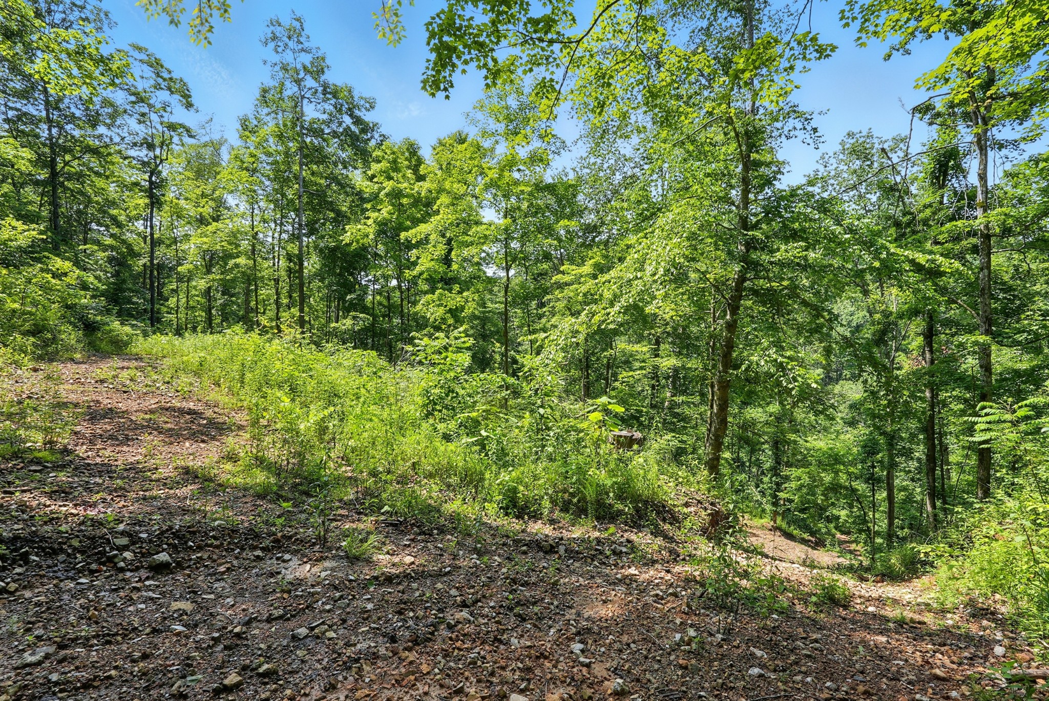 4006 Stones River Rd Property Photo 31