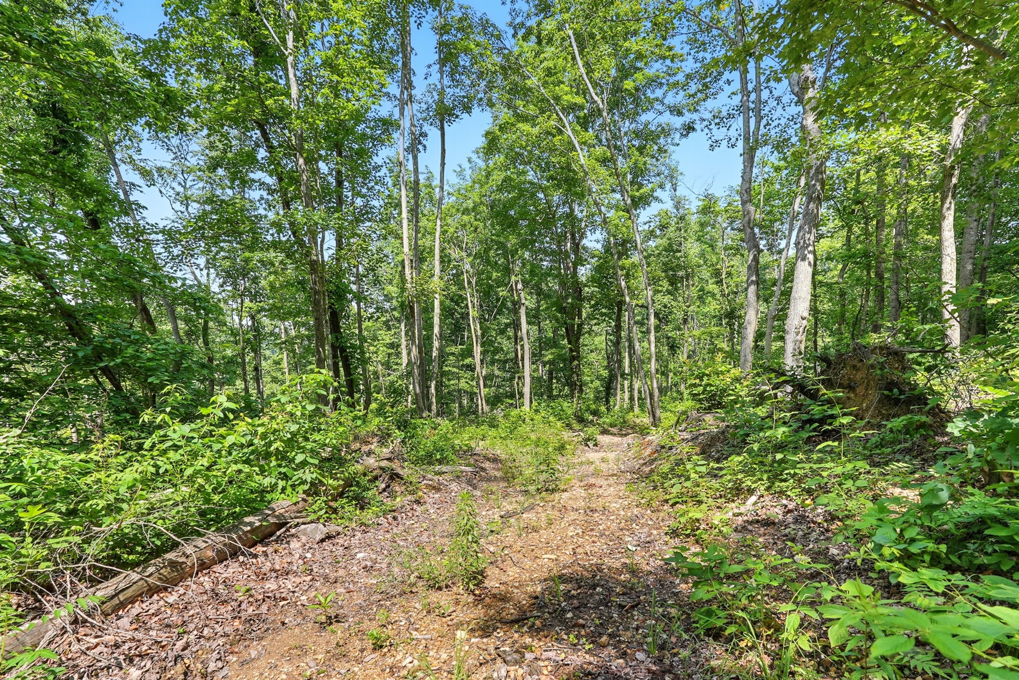4006 Stones River Rd Property Photo 34