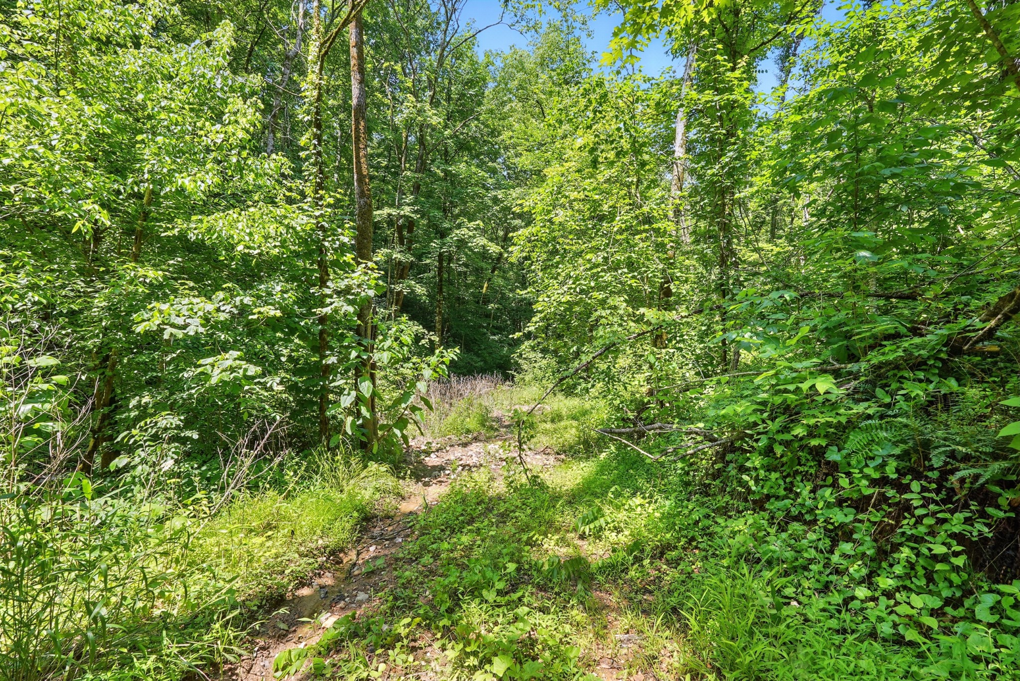 4006 Stones River Rd Property Photo 36