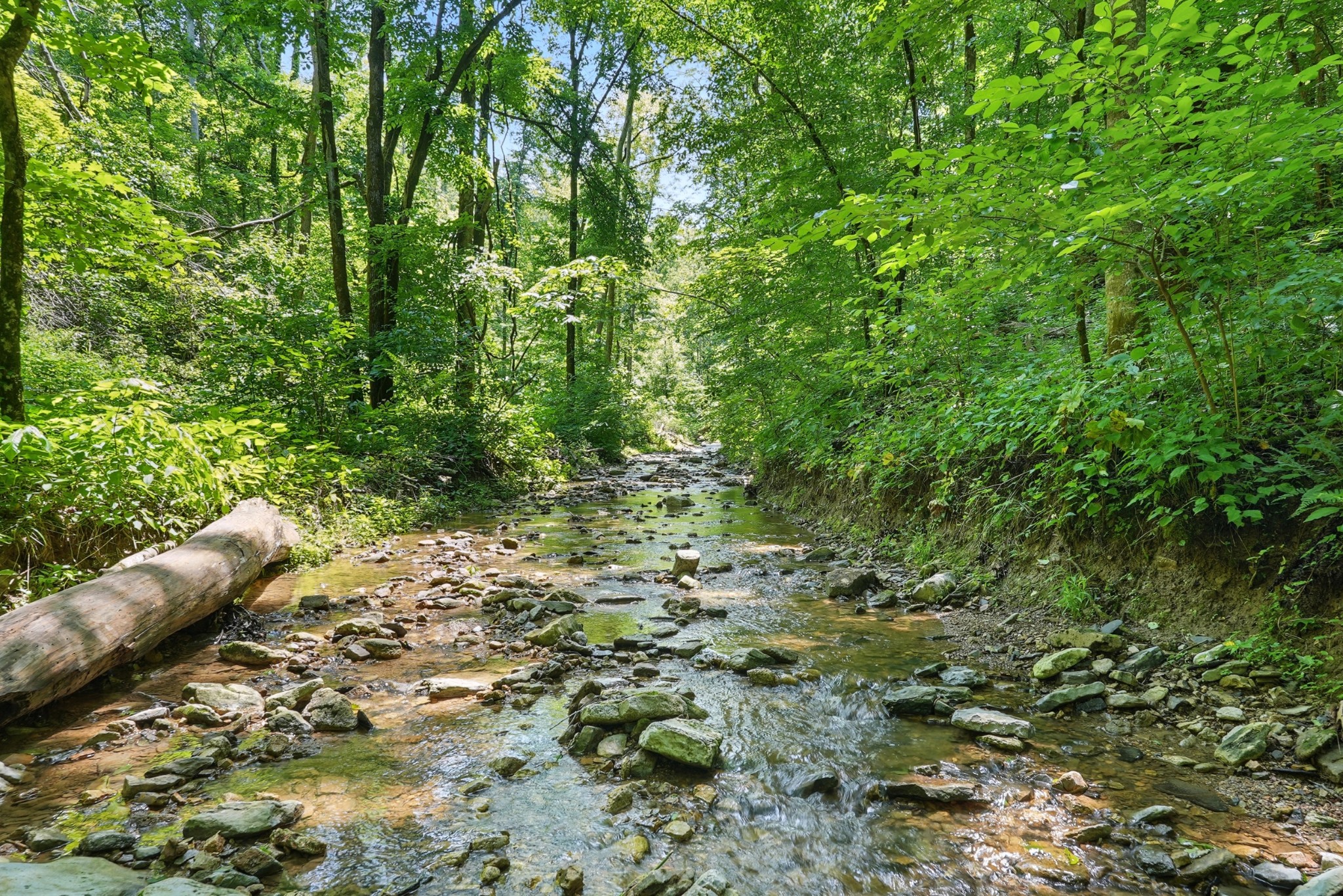 4006 Stones River Rd Property Photo 37