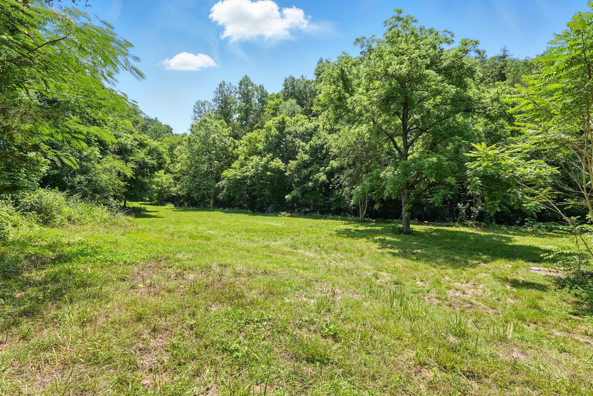 4006 Stones River Rd Property Photo 39