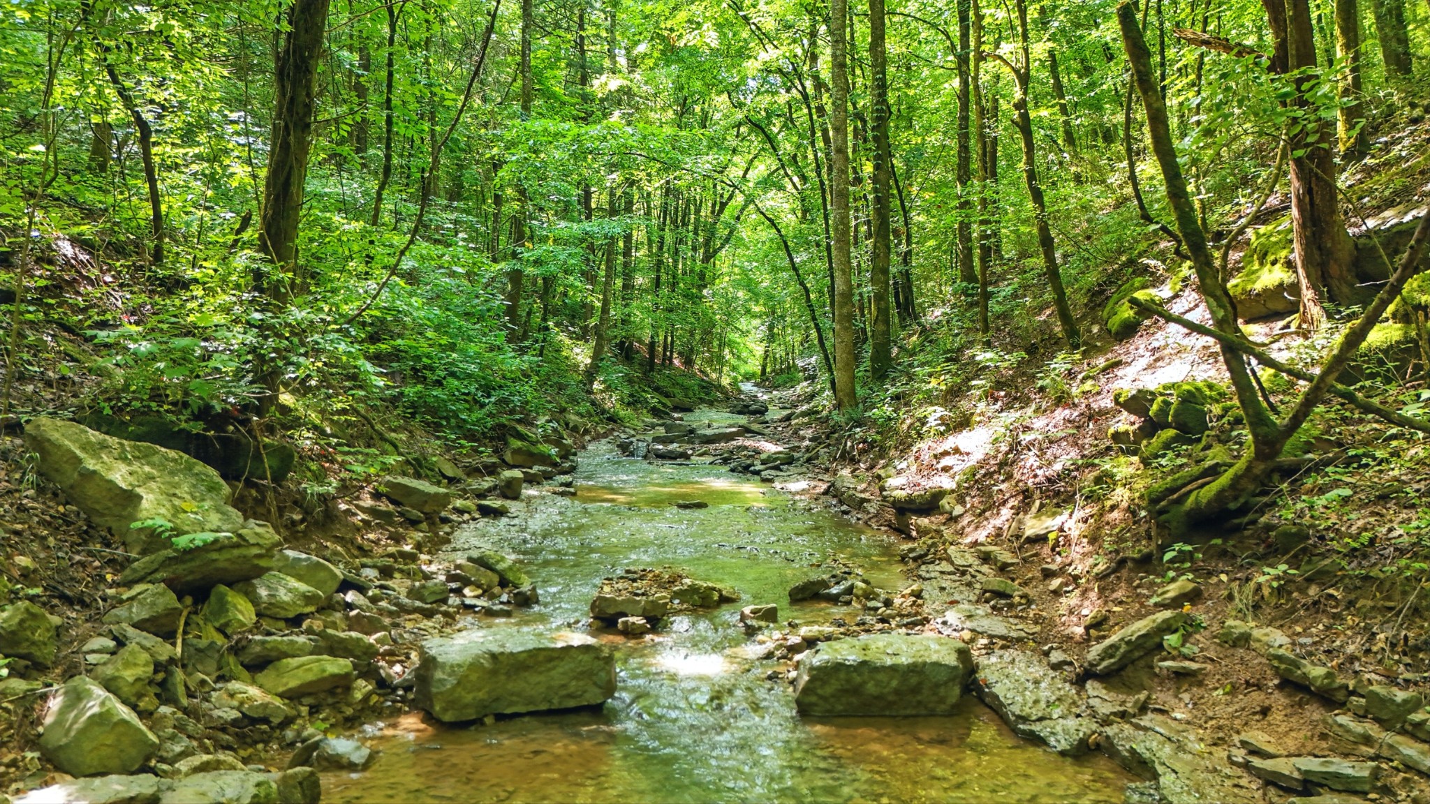 4006 Stones River Rd Property Photo 41