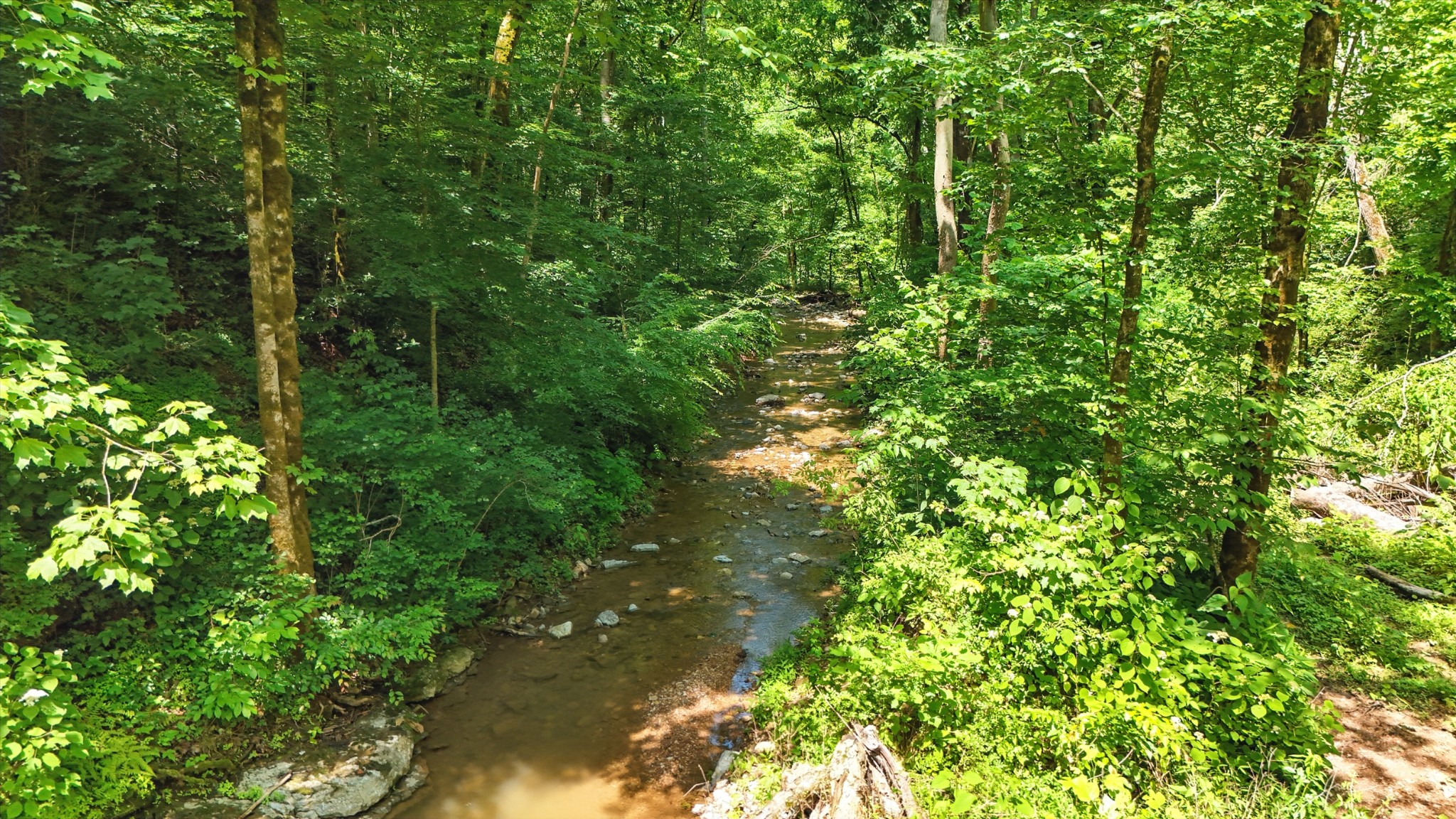 4006 Stones River Rd Property Photo 42