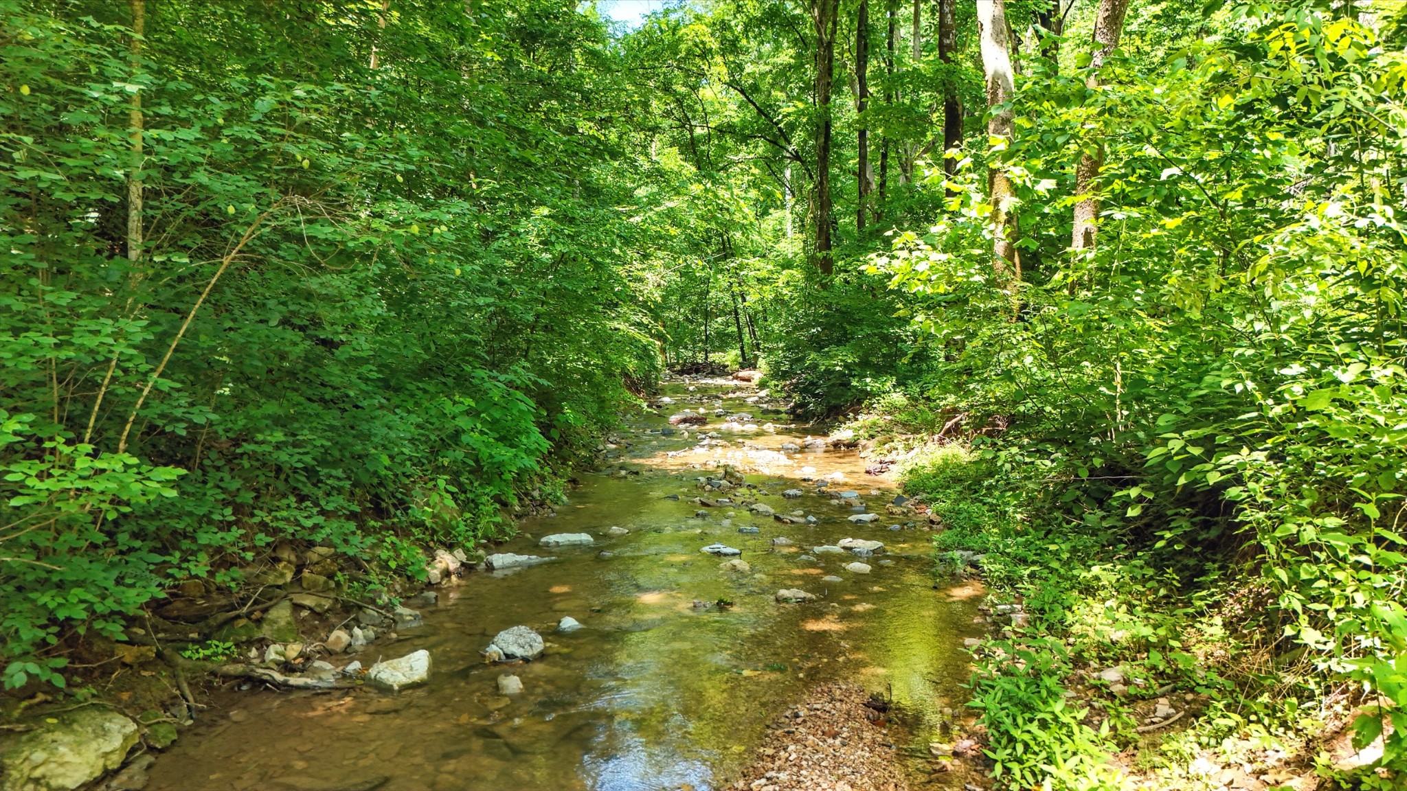 4006 Stones River Rd Property Photo 43