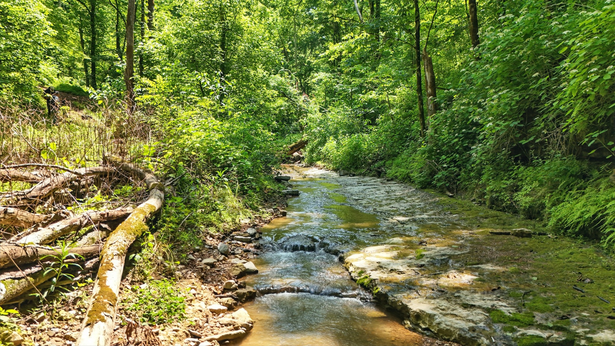 4006 Stones River Rd Property Photo 44