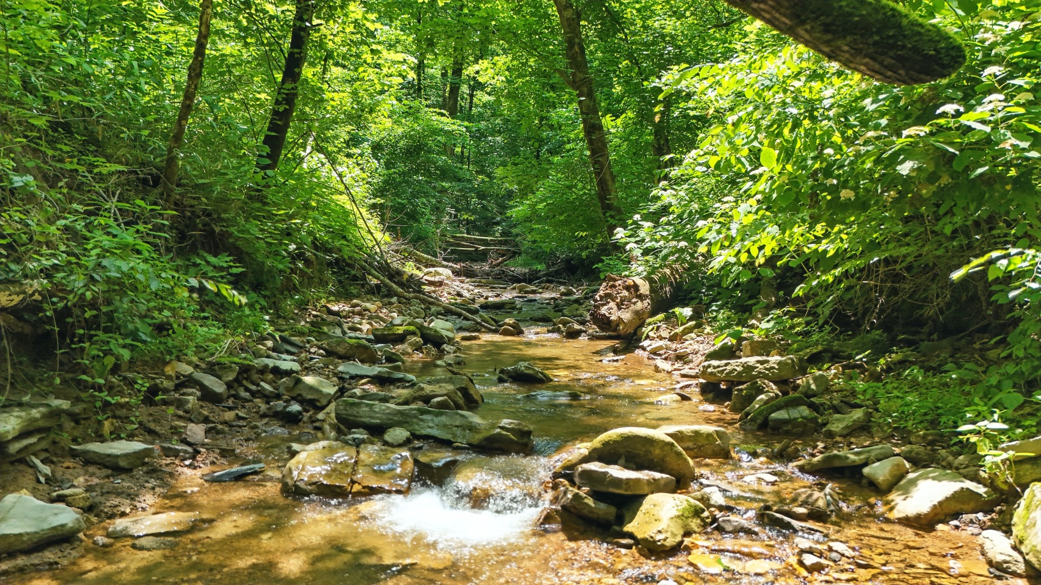 4006 Stones River Rd Property Photo 45