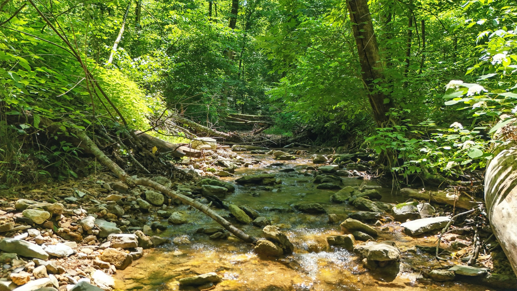 4006 Stones River Rd Property Photo 46
