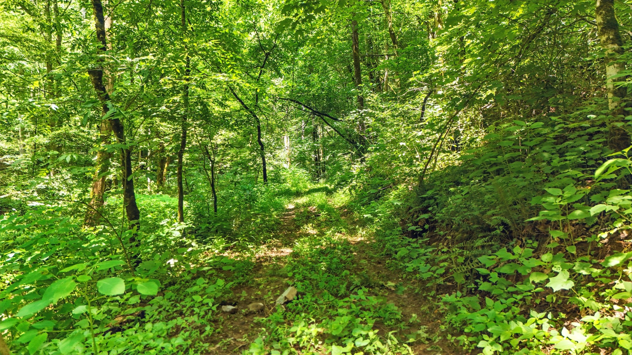 4006 Stones River Rd Property Photo 47