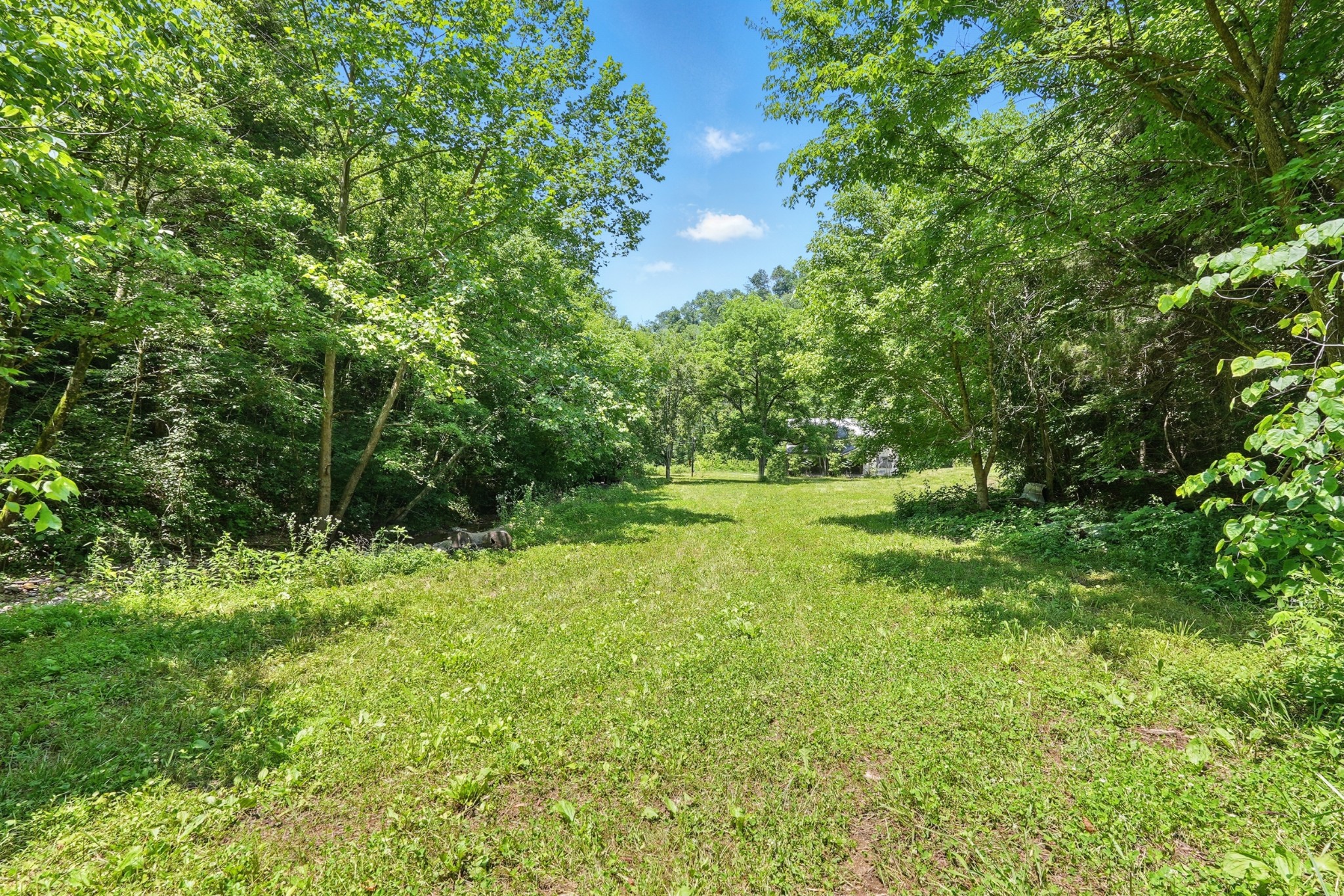 4006 Stones River Rd Property Photo 48
