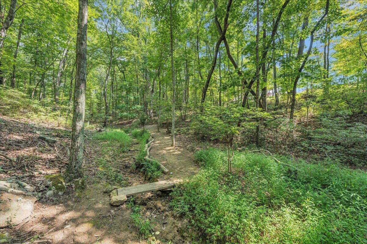 220 Bear Crawl Road Property Photo 57