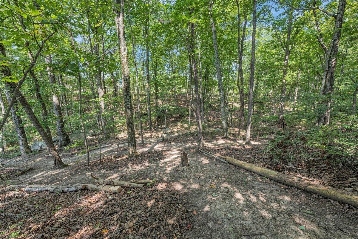 220 Bear Crawl Road Property Photo 58