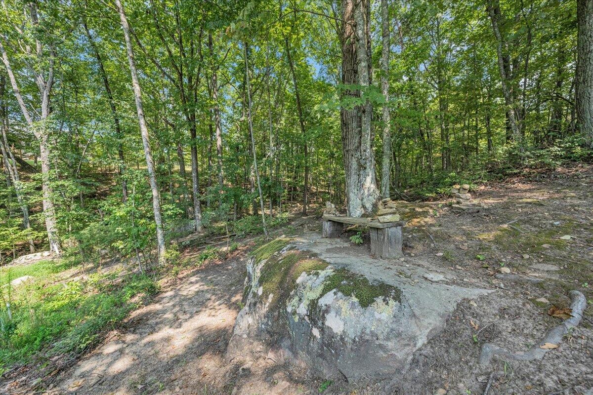 220 Bear Crawl Road Property Photo 59