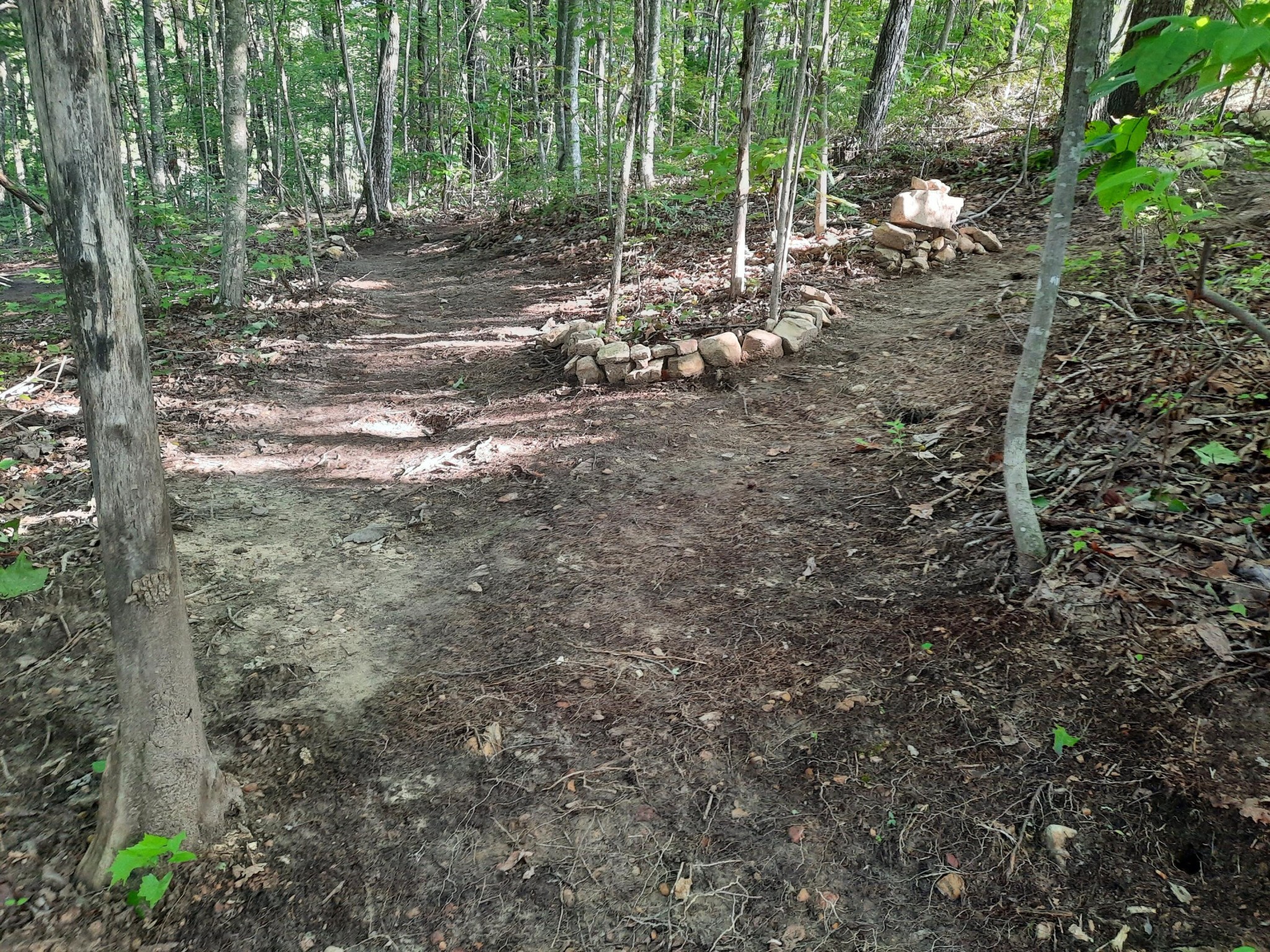 220 Bear Crawl Road Property Photo 74