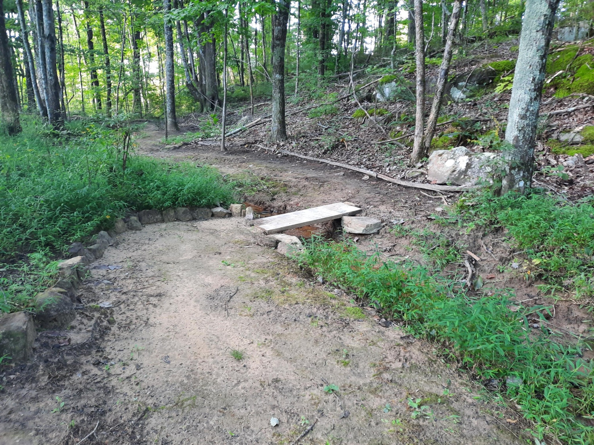 220 Bear Crawl Road Property Photo 76