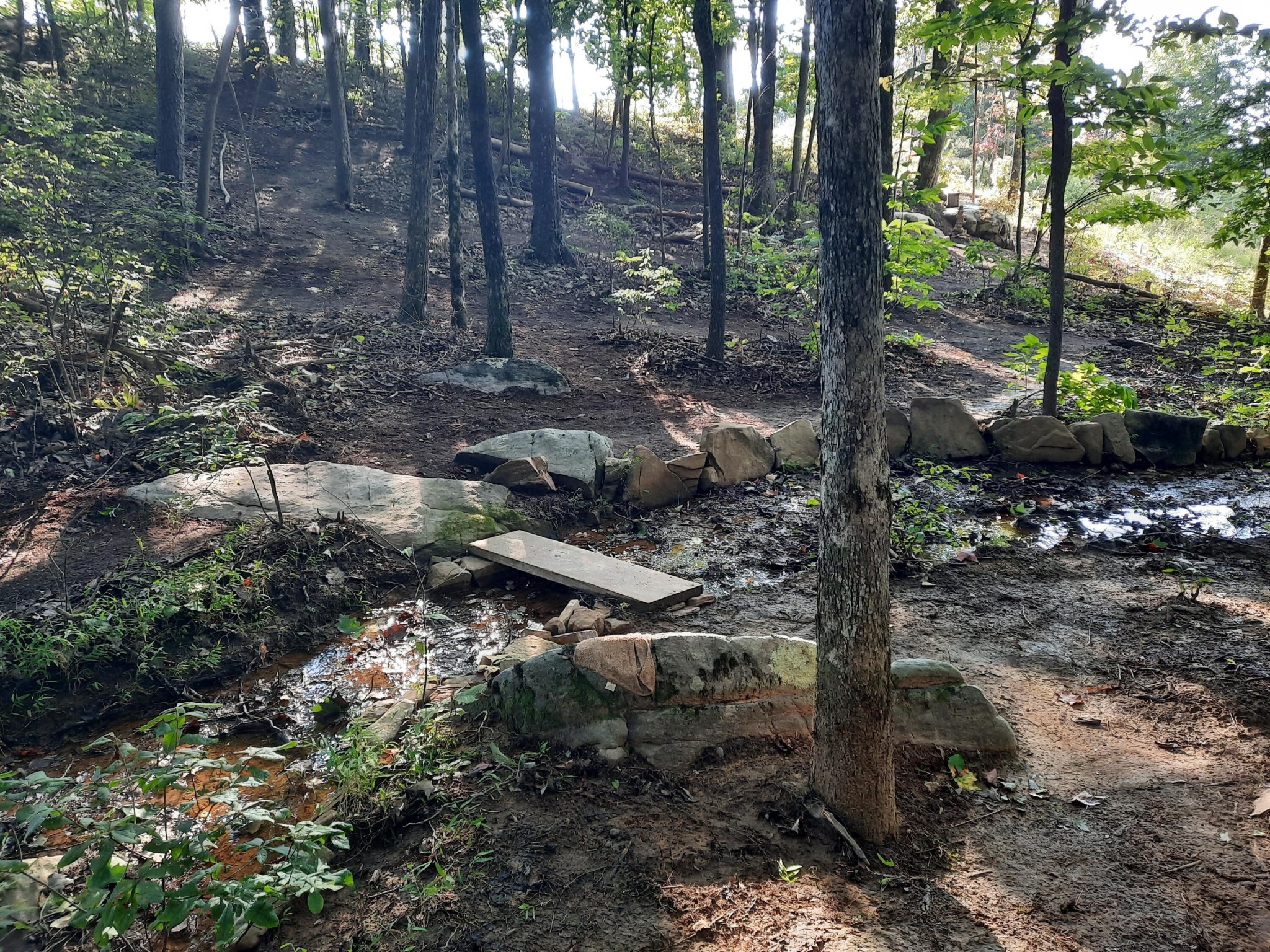220 Bear Crawl Road Property Photo 80
