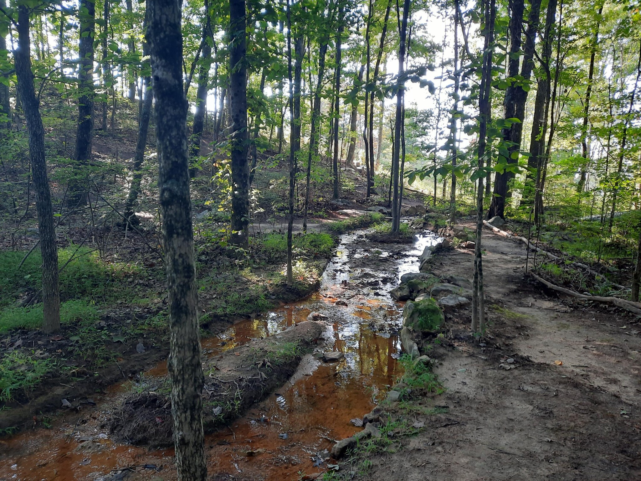 220 Bear Crawl Road Property Photo 81