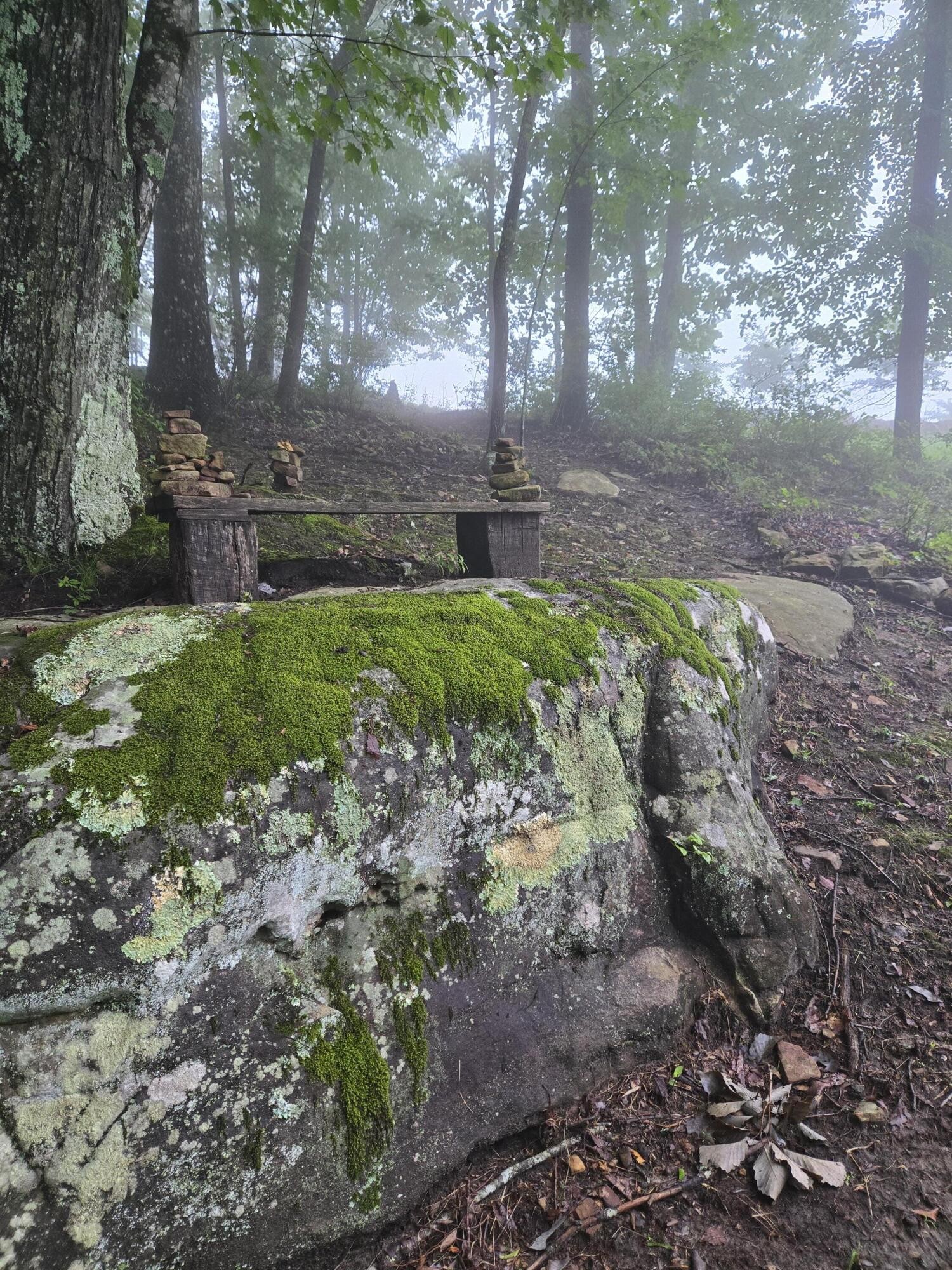220 Bear Crawl Road Property Photo 83