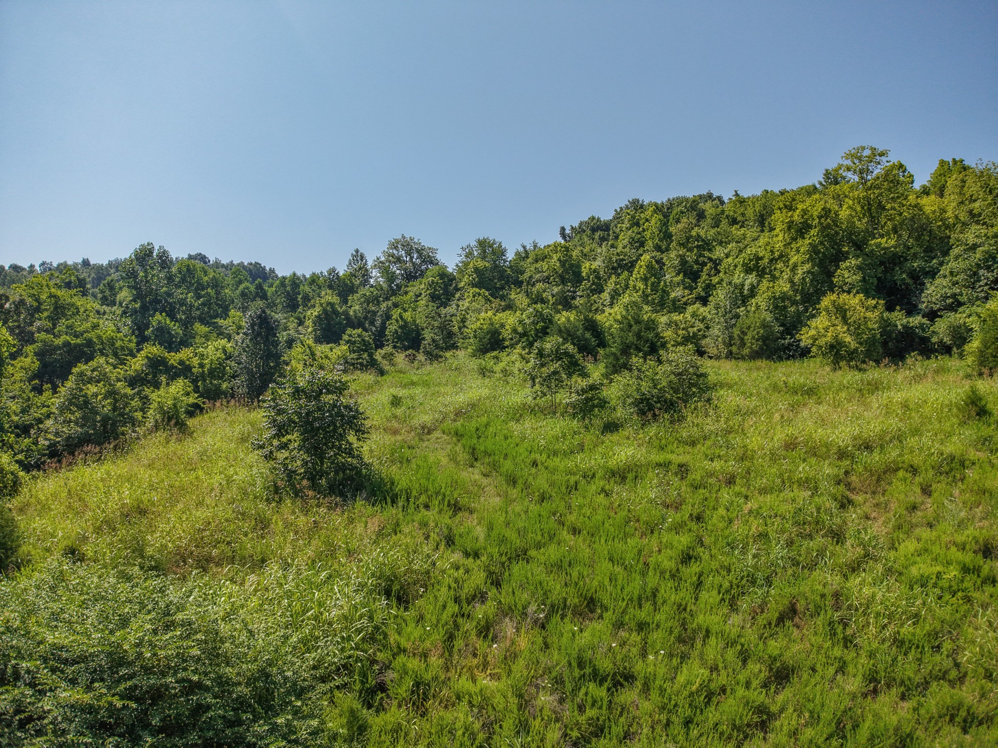 0 Winchester Hwy Property Photo 15