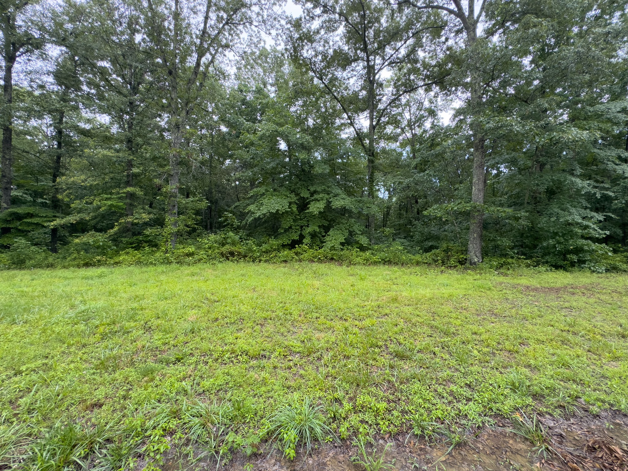 0 Three Rivers Dr Property Photo 7