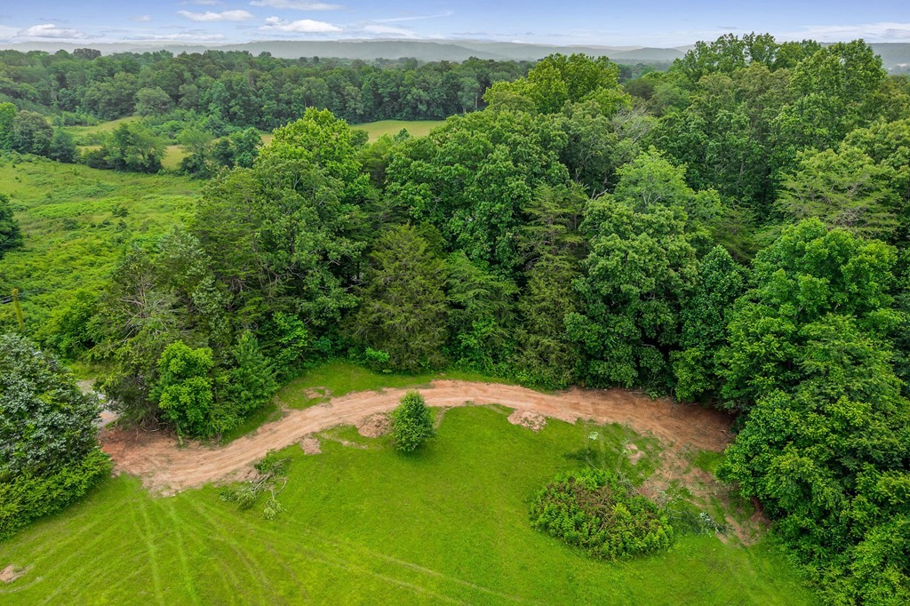 0 Golden Herren Road Property Photo 3