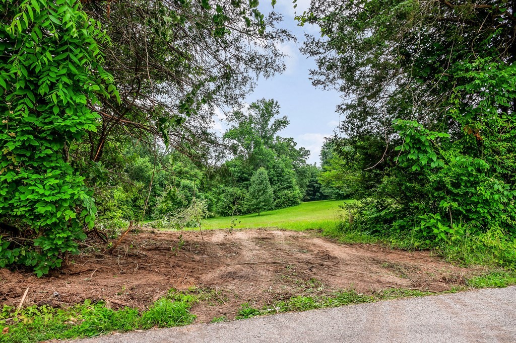 0 Golden Herren Road Property Photo 14
