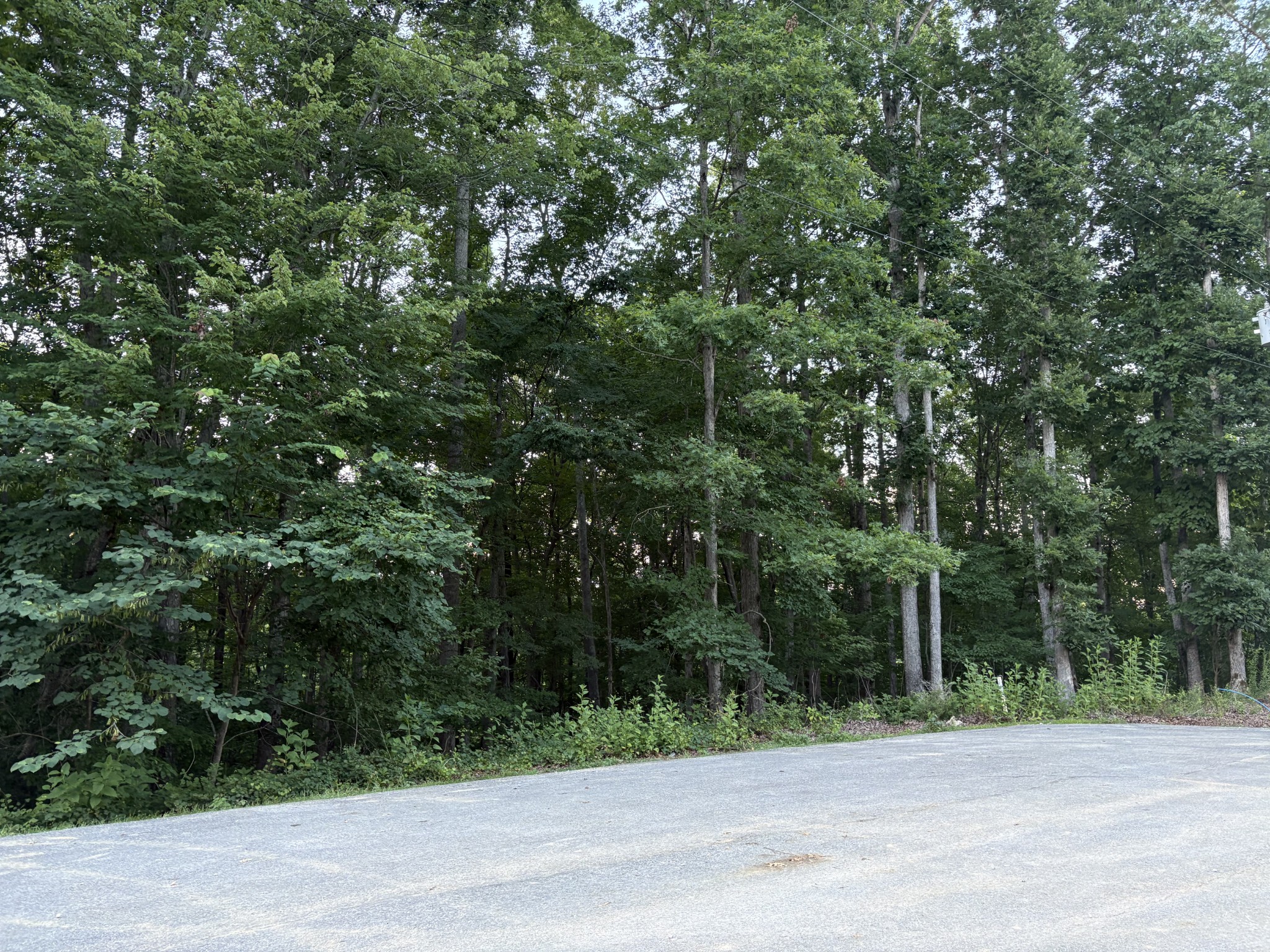 0 Mountain Lake Lane Property Photo 1