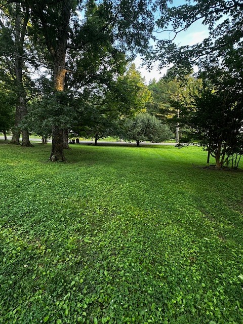 1003 Bellwood Dr Property Photo 4