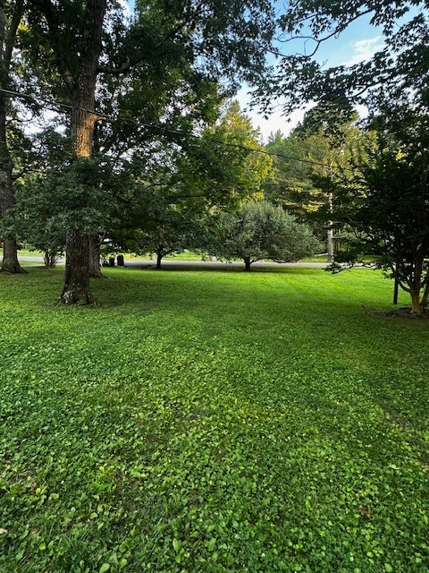1003 Bellwood Dr Property Photo 33