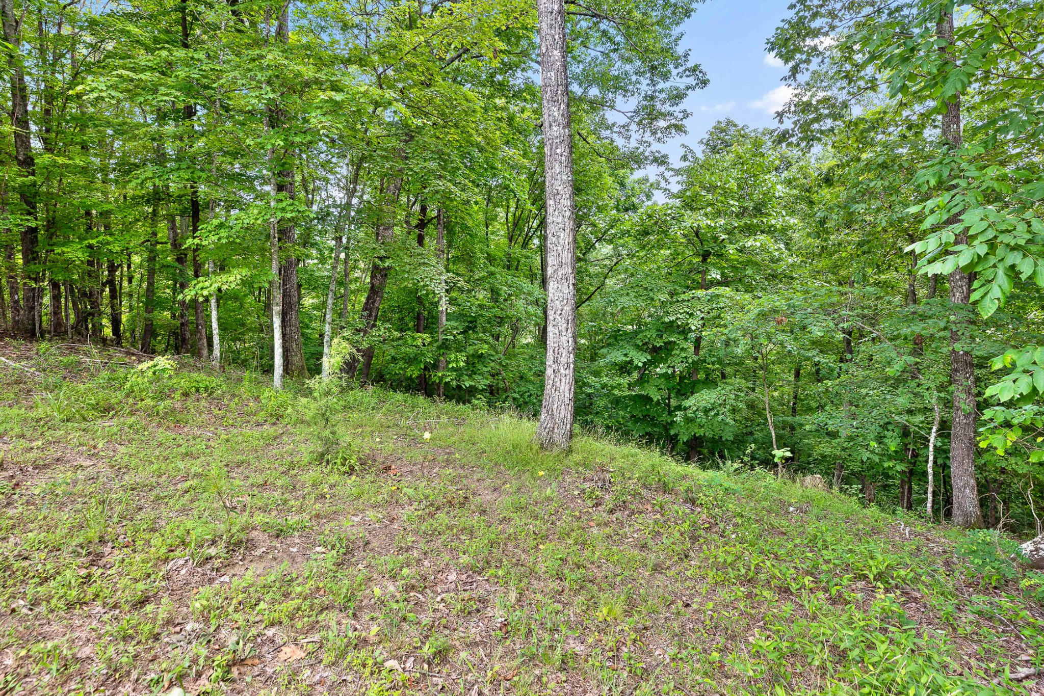 0 Preservation Drive Property Photo 25