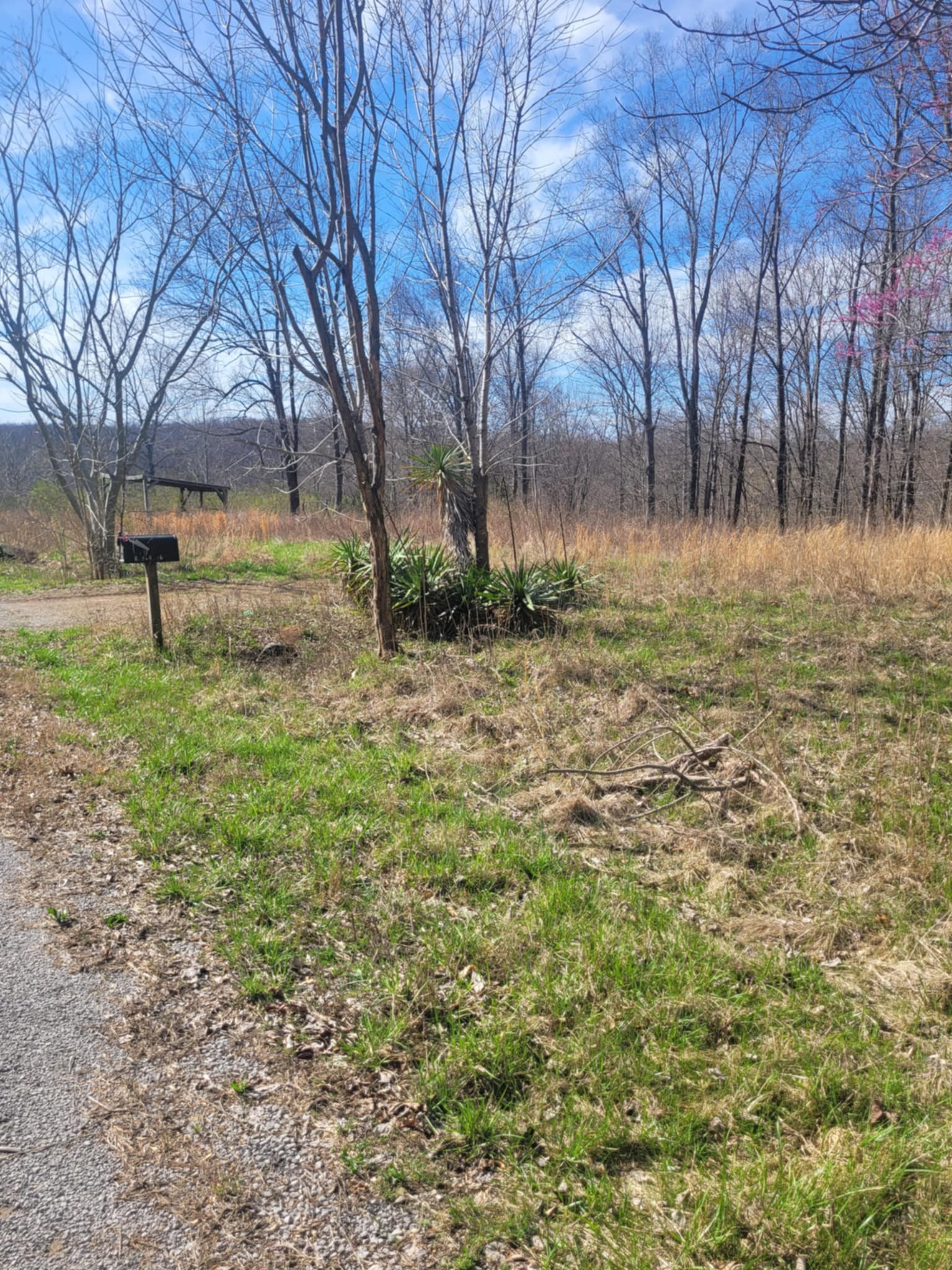 670 Munro Rd Property Photo 2