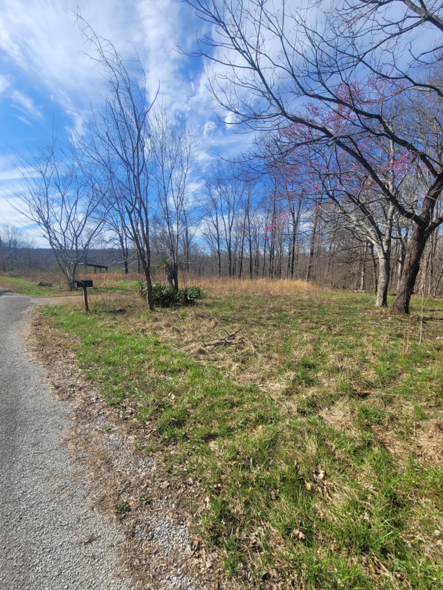 670 Munro Rd Property Photo 4