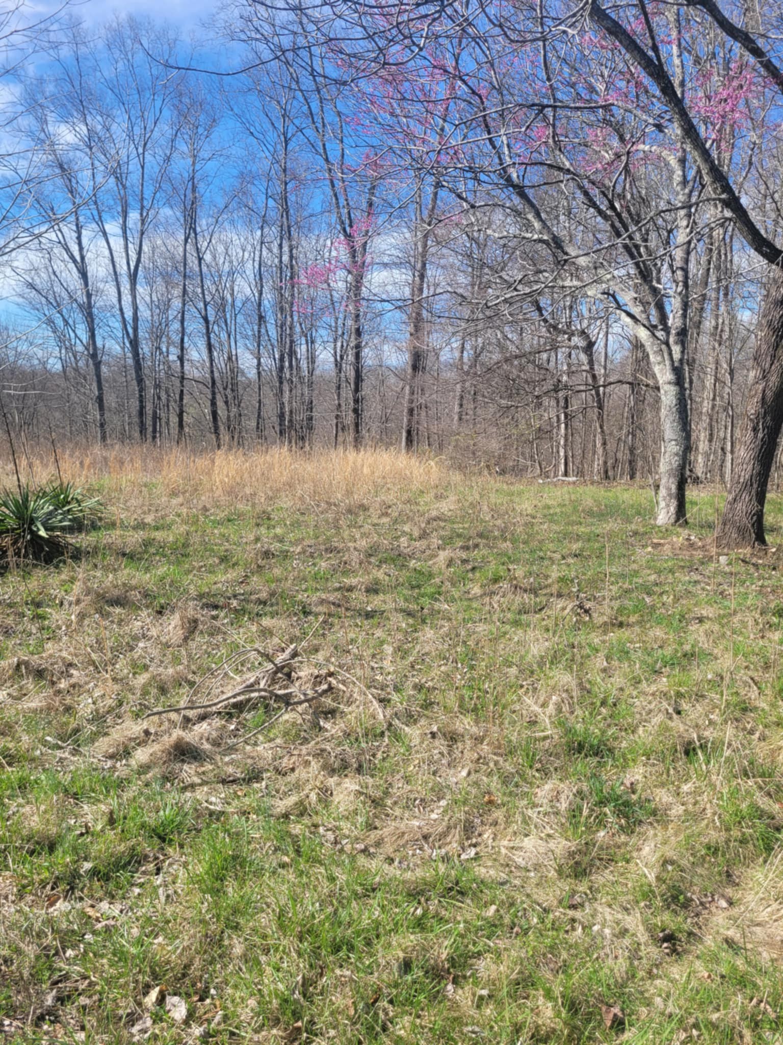 670 Munro Rd Property Photo 5