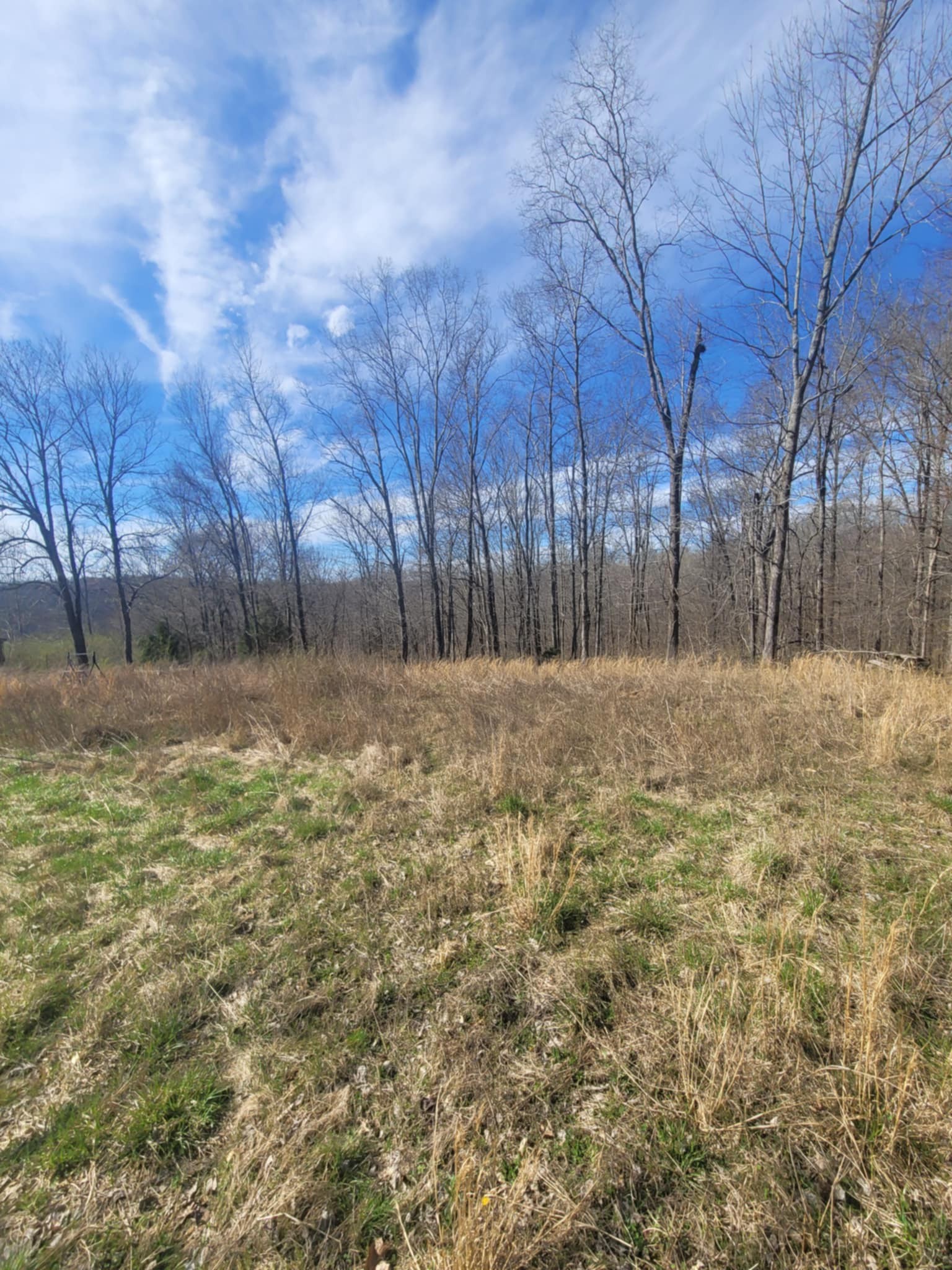 670 Munro Rd Property Photo 7