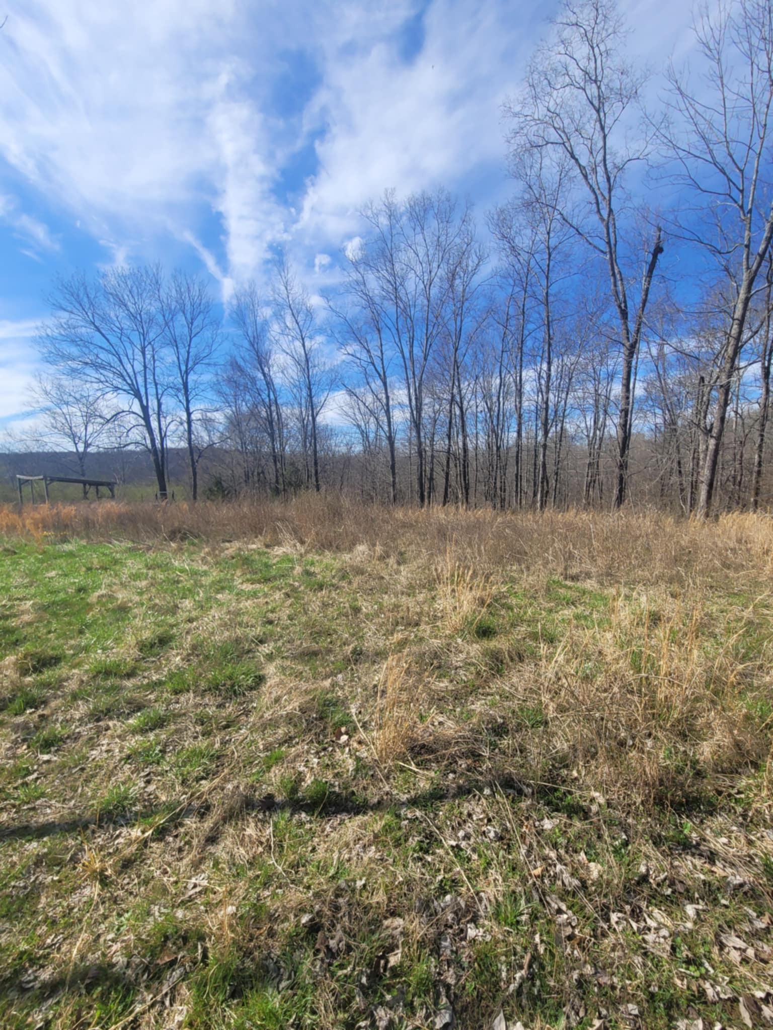 670 Munro Rd Property Photo 8