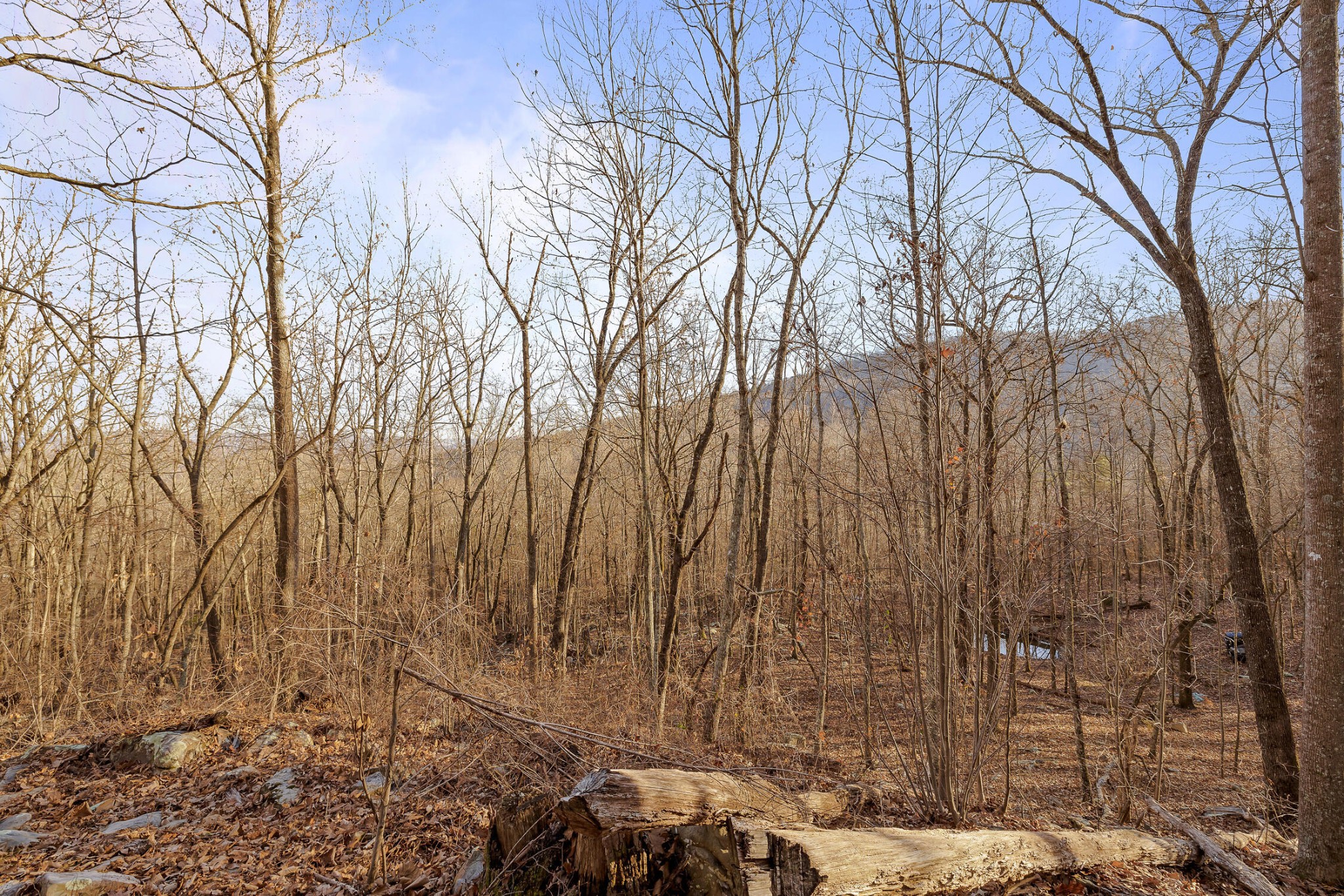 1158 Pryor Cove Road Property Photo 8